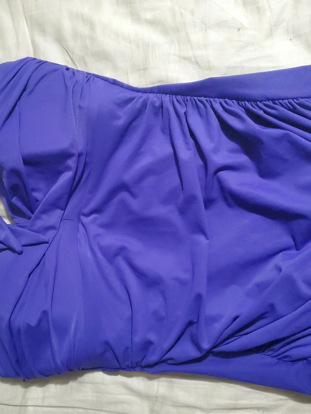 Miraclesuit Deep Purple onepiece Swimwear